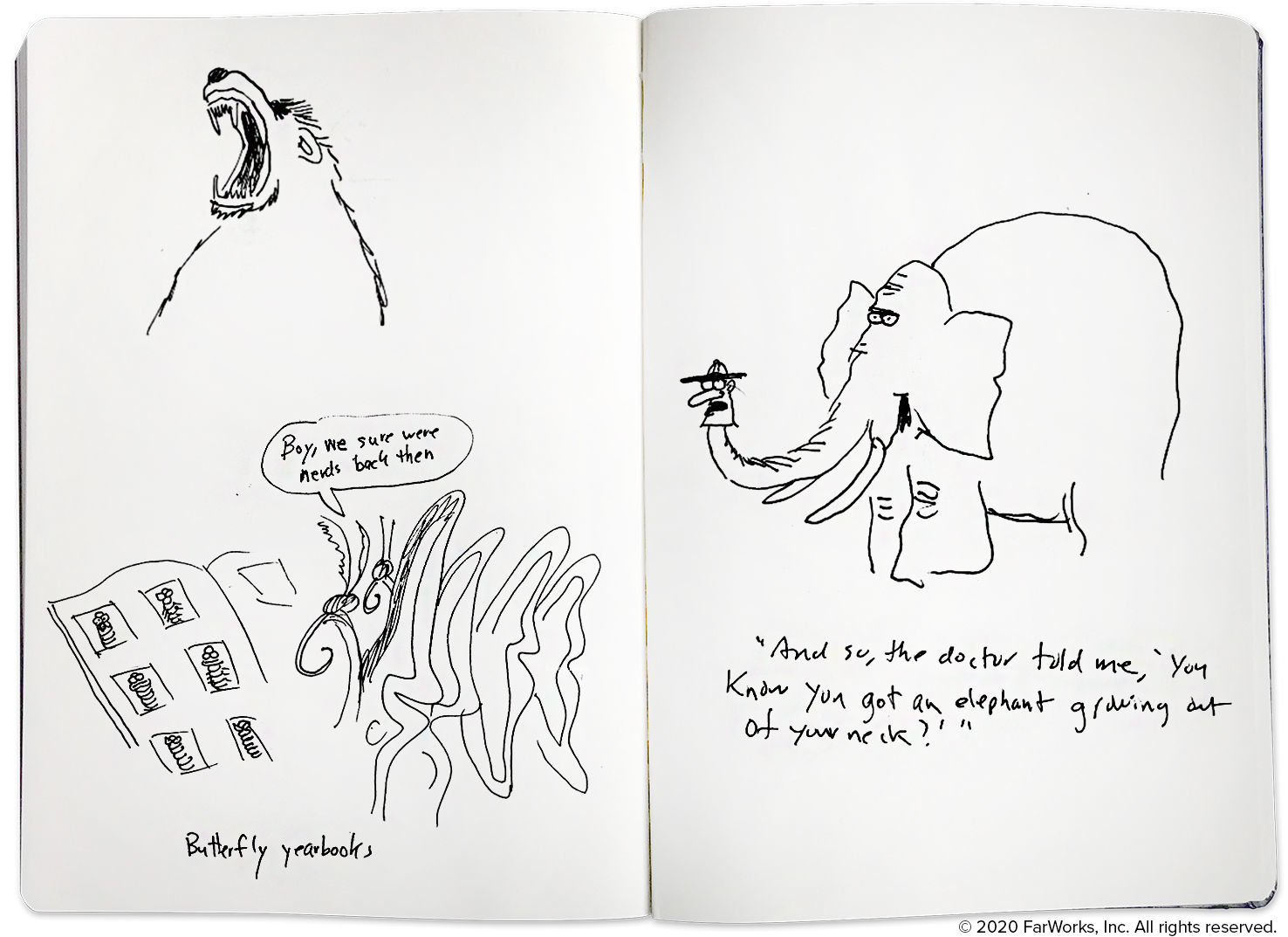 bear, butterfly, elephant sketch