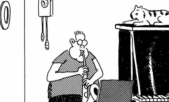 the far side comic collections titled 'hey, betty, they're playing our song!'