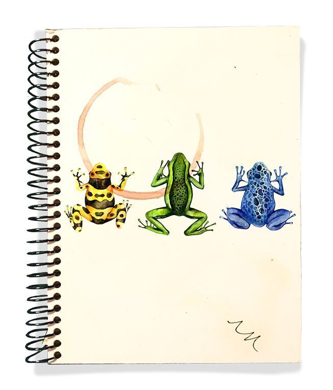 the far side comic collections titled 'sketchbook 2'