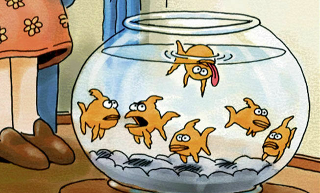 the far side comic collections titled 'saturday, december 13, 2025'