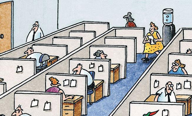 the far side comic collections titled 'friday, july 24, 2026'