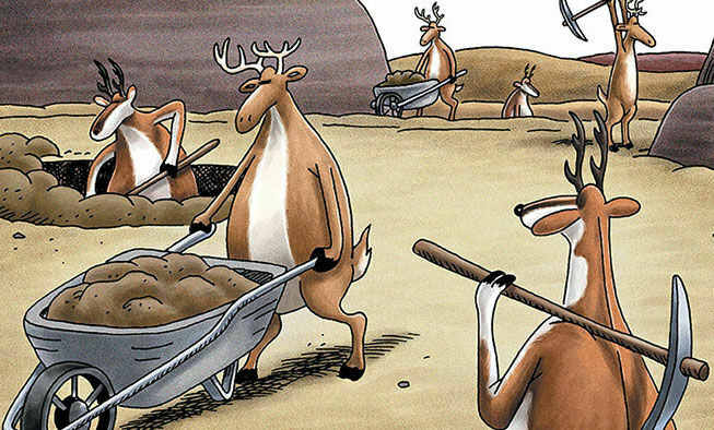 the far side comic collections titled 'horses are hard to draw'