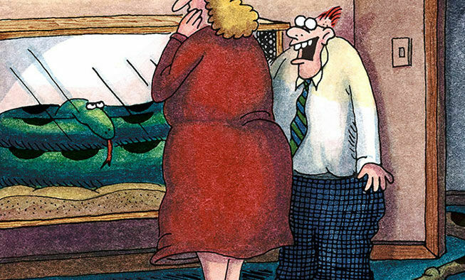 the far side comic collections titled 'pets allowed'