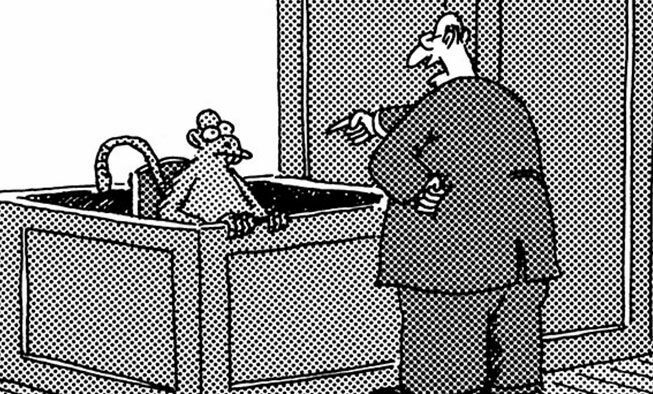 the far side comic collections titled 'friday, november 7, 2025'
