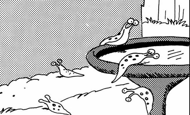 the far side comic collections titled 'wednesday, november 19, 2025'