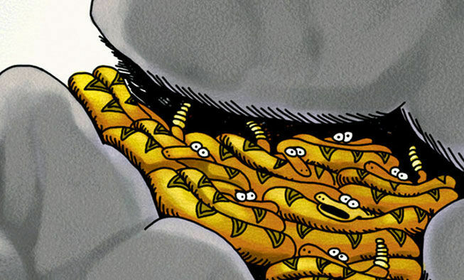 the far side comic collections titled 'all in the phylum'