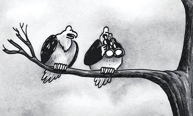 the far side comic collections titled 'odd ducks, common loons'