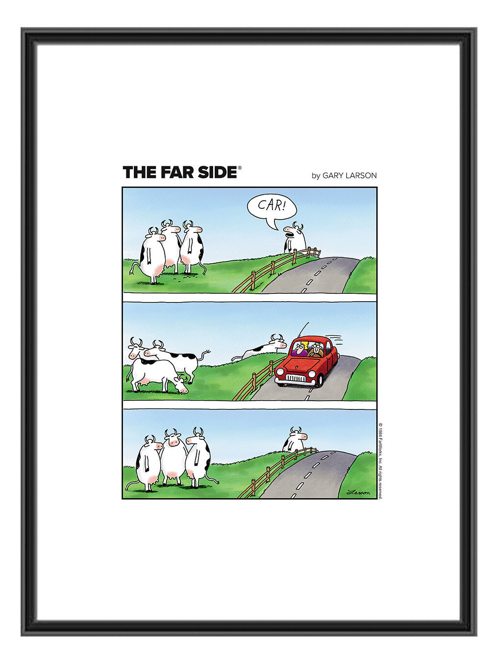 “Standing Cows - Car!” <br>January 6, 1984