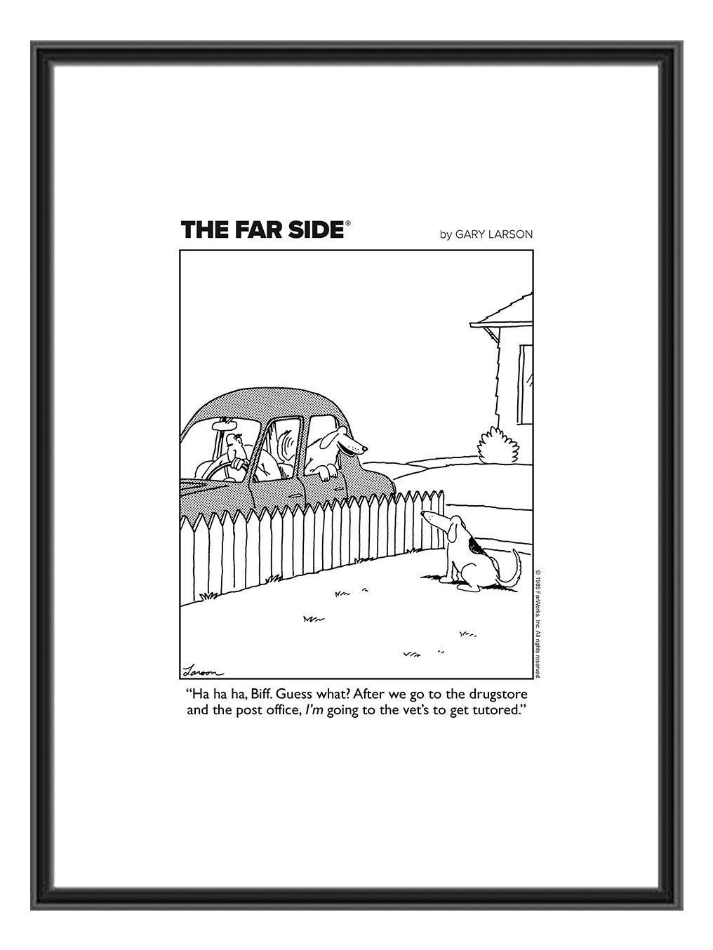 “Dog Going to Get Tutored” <br>May 25, 1985
