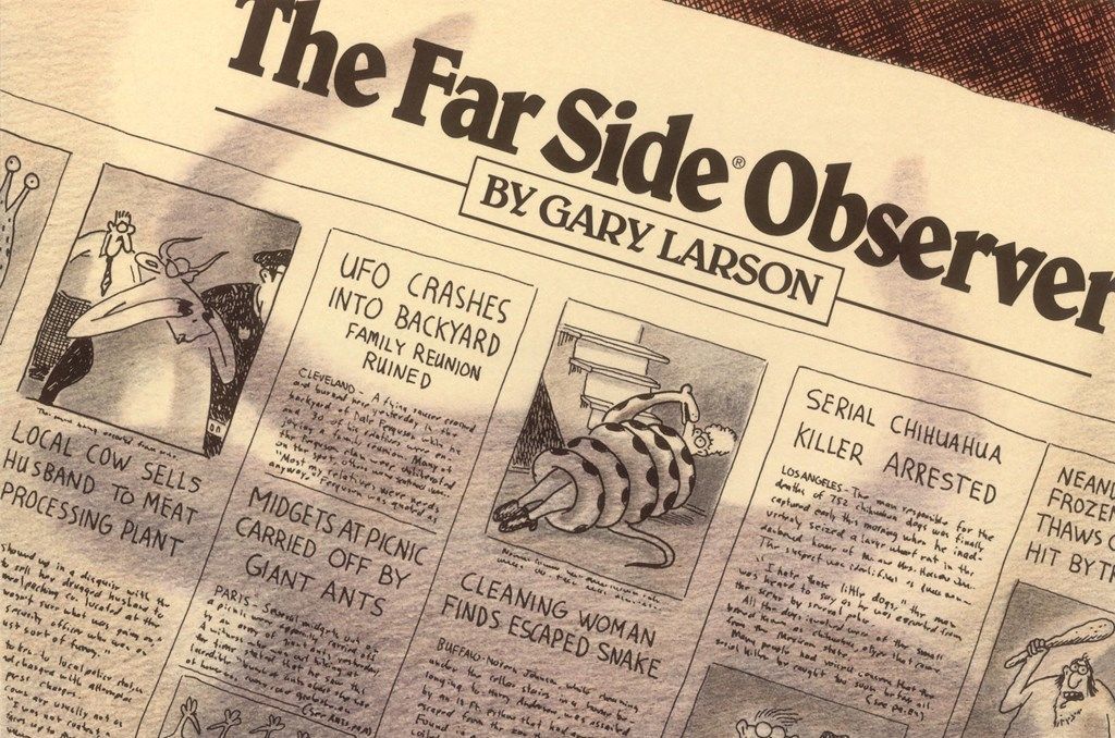 The Far Side Observer